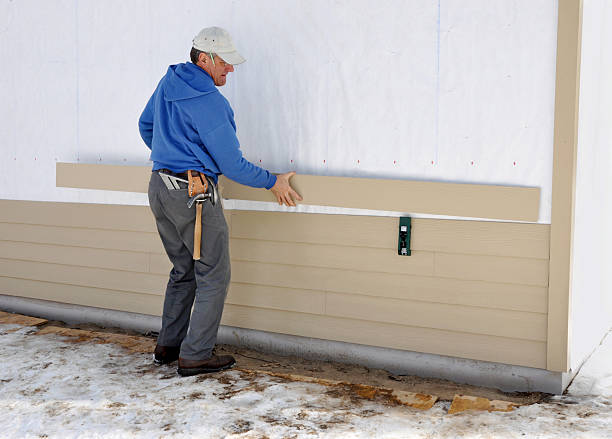 Best Vinyl Siding Installation  in Channahon, IL